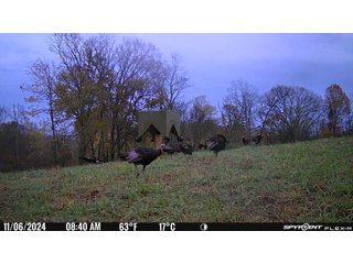 Property photo 53 - 201+/- ACRES OF HUNTING LAND FOR AUCTION IN CARROLL COUNTY KY
