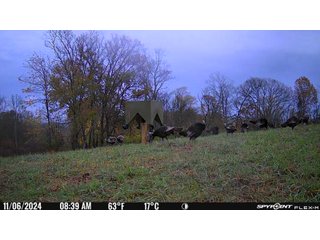 Property photo 54 - 201+/- ACRES OF HUNTING LAND FOR AUCTION IN CARROLL COUNTY KY