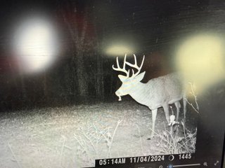 Property photo 57 - 201+/- ACRES OF HUNTING LAND FOR AUCTION IN CARROLL COUNTY KY