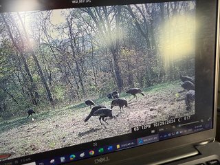 Property photo 60 - 201+/- ACRES OF HUNTING LAND FOR AUCTION IN CARROLL COUNTY KY