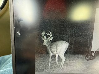 Property photo 62 - 201+/- ACRES OF HUNTING LAND FOR AUCTION IN CARROLL COUNTY KY