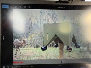 Property photo 63 - 201+/- ACRES OF HUNTING LAND FOR AUCTION IN CARROLL COUNTY KY