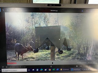 Property photo 66 - 201+/- ACRES OF HUNTING LAND FOR AUCTION IN CARROLL COUNTY KY