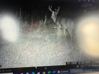 Property photo 71 - 201+/- ACRES OF HUNTING LAND FOR AUCTION IN CARROLL COUNTY KY