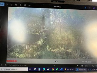 Property photo 72 - 201+/- ACRES OF HUNTING LAND FOR AUCTION IN CARROLL COUNTY KY