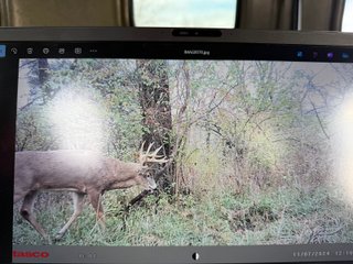 Property photo 73 - 201+/- ACRES OF HUNTING LAND FOR AUCTION IN CARROLL COUNTY KY