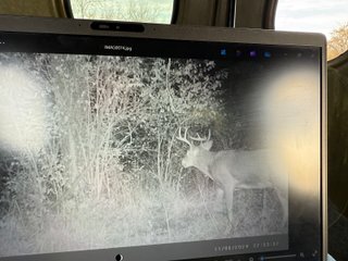 Property photo 74 - 201+/- ACRES OF HUNTING LAND FOR AUCTION IN CARROLL COUNTY KY