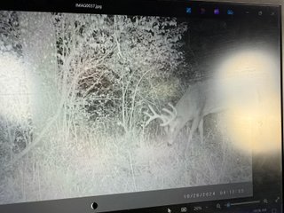 Property photo 80 - 201+/- ACRES OF HUNTING LAND FOR AUCTION IN CARROLL COUNTY KY