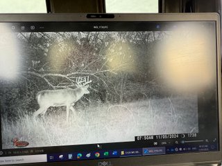 Property photo 83 - 201+/- ACRES OF HUNTING LAND FOR AUCTION IN CARROLL COUNTY KY