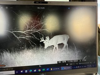Property photo 84 - 201+/- ACRES OF HUNTING LAND FOR AUCTION IN CARROLL COUNTY KY