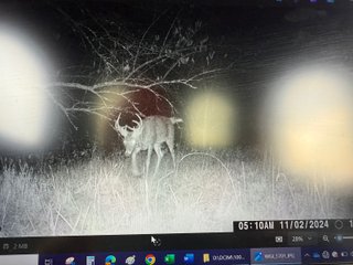 Property photo 87 - 201+/- ACRES OF HUNTING LAND FOR AUCTION IN CARROLL COUNTY KY