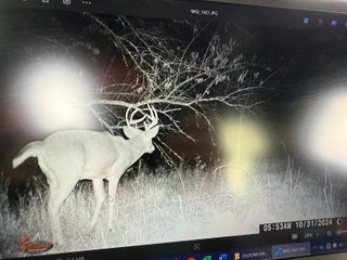 Property photo 91 - 201+/- ACRES OF HUNTING LAND FOR AUCTION IN CARROLL COUNTY KY