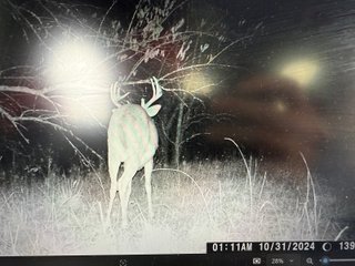 Property photo 92 - 201+/- ACRES OF HUNTING LAND FOR AUCTION IN CARROLL COUNTY KY