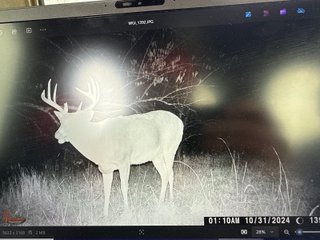 Property photo 93 - 201+/- ACRES OF HUNTING LAND FOR AUCTION IN CARROLL COUNTY KY