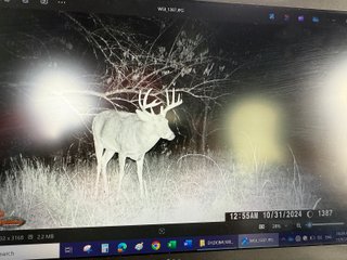 Property photo 95 - 201+/- ACRES OF HUNTING LAND FOR AUCTION IN CARROLL COUNTY KY