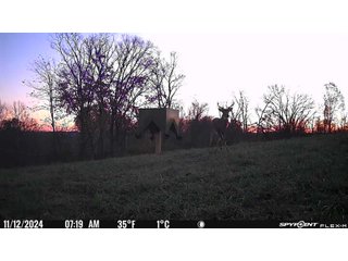 Property photo 101 - 201+/- ACRES OF HUNTING LAND FOR AUCTION IN CARROLL COUNTY KY