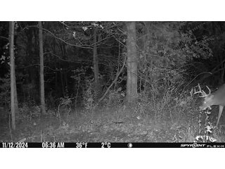 Property photo 102 - 201+/- ACRES OF HUNTING LAND FOR AUCTION IN CARROLL COUNTY KY