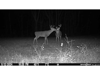 Property photo 103 - 201+/- ACRES OF HUNTING LAND FOR AUCTION IN CARROLL COUNTY KY
