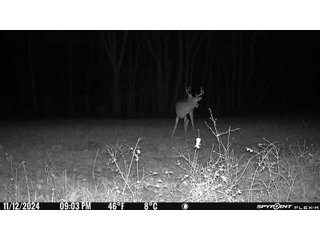 Property photo 104 - 201+/- ACRES OF HUNTING LAND FOR AUCTION IN CARROLL COUNTY KY