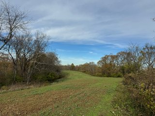 Property photo 123 - 201+/- ACRES OF HUNTING LAND FOR AUCTION IN CARROLL COUNTY KY