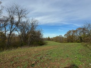 Property photo 124 - 201+/- ACRES OF HUNTING LAND FOR AUCTION IN CARROLL COUNTY KY