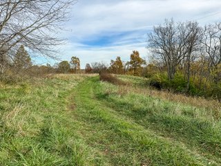 Property photo 127 - 201+/- ACRES OF HUNTING LAND FOR AUCTION IN CARROLL COUNTY KY