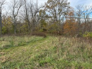 Property photo 131 - 201+/- ACRES OF HUNTING LAND FOR AUCTION IN CARROLL COUNTY KY