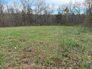 Property photo 132 - 201+/- ACRES OF HUNTING LAND FOR AUCTION IN CARROLL COUNTY KY
