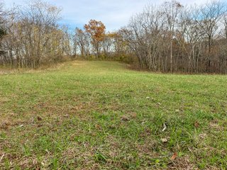 Property photo 133 - 201+/- ACRES OF HUNTING LAND FOR AUCTION IN CARROLL COUNTY KY