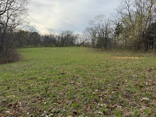 Property photo 134 - 201+/- ACRES OF HUNTING LAND FOR AUCTION IN CARROLL COUNTY KY