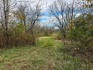 Property photo 137 - 201+/- ACRES OF HUNTING LAND FOR AUCTION IN CARROLL COUNTY KY
