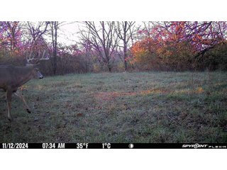 Property photo 108 - 201+/- ACRES OF HUNTING LAND FOR AUCTION IN CARROLL COUNTY KY