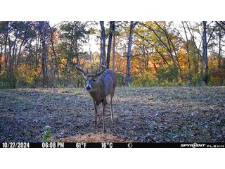 Property photo 2 - 201+/- ACRES OF HUNTING LAND FOR AUCTION IN CARROLL COUNTY KY