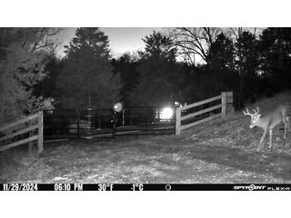Property photo 5 - 201+/- ACRES OF HUNTING LAND FOR AUCTION IN CARROLL COUNTY KY