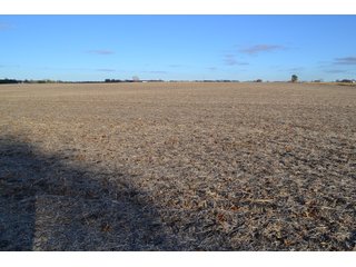 Property photo 21 - 71.8+/- ACRES LAND AUCTION OFFERED IN 2 TRACTS - NEWTON COUNTY IN
