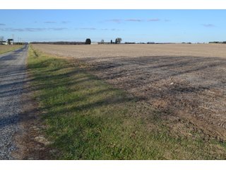 Property photo 20 - 71.8+/- ACRES LAND AUCTION OFFERED IN 2 TRACTS - NEWTON COUNTY IN