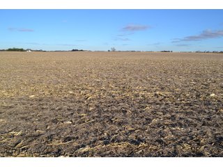 Property photo 1 - 71.8+/- ACRES LAND AUCTION OFFERED IN 2 TRACTS - NEWTON COUNTY IN