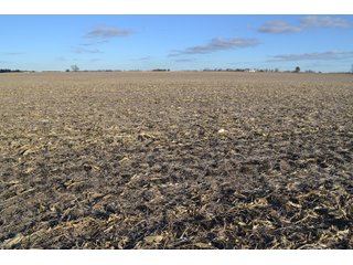 Property photo 19 - 71.8+/- ACRES LAND AUCTION OFFERED IN 2 TRACTS - NEWTON COUNTY IN