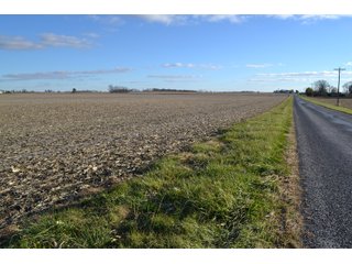 Property photo 18 - 71.8+/- ACRES LAND AUCTION OFFERED IN 2 TRACTS - NEWTON COUNTY IN