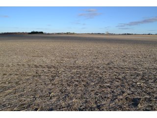 Property photo 3 - 71.8+/- ACRES LAND AUCTION OFFERED IN 2 TRACTS - NEWTON COUNTY IN