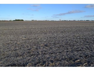 Property photo 17 - 71.8+/- ACRES LAND AUCTION OFFERED IN 2 TRACTS - NEWTON COUNTY IN