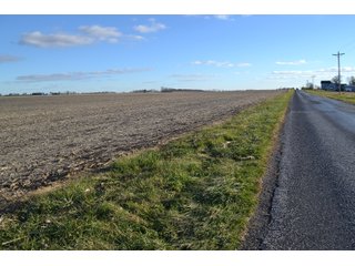 Property photo 16 - 71.8+/- ACRES LAND AUCTION OFFERED IN 2 TRACTS - NEWTON COUNTY IN