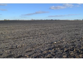 Property photo 15 - 71.8+/- ACRES LAND AUCTION OFFERED IN 2 TRACTS - NEWTON COUNTY IN