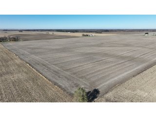 Property photo 11 - 71.8+/- ACRES LAND AUCTION OFFERED IN 2 TRACTS - NEWTON COUNTY IN