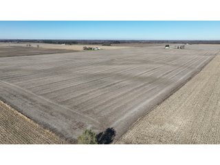 Property photo 10 - 71.8+/- ACRES LAND AUCTION OFFERED IN 2 TRACTS - NEWTON COUNTY IN