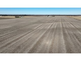 Property photo 9 - 71.8+/- ACRES LAND AUCTION OFFERED IN 2 TRACTS - NEWTON COUNTY IN