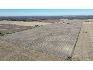 Property photo 8 - 71.8+/- ACRES LAND AUCTION OFFERED IN 2 TRACTS - NEWTON COUNTY IN