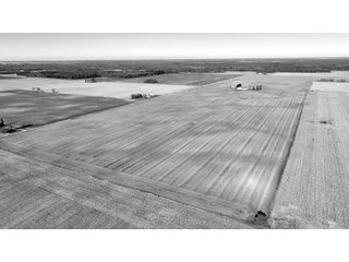 Property photo 7 - 71.8+/- ACRES LAND AUCTION OFFERED IN 2 TRACTS - NEWTON COUNTY IN