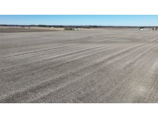 Property photo 6 - 71.8+/- ACRES LAND AUCTION OFFERED IN 2 TRACTS - NEWTON COUNTY IN