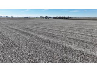 Property photo 5 - 71.8+/- ACRES LAND AUCTION OFFERED IN 2 TRACTS - NEWTON COUNTY IN